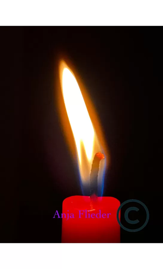 we 74